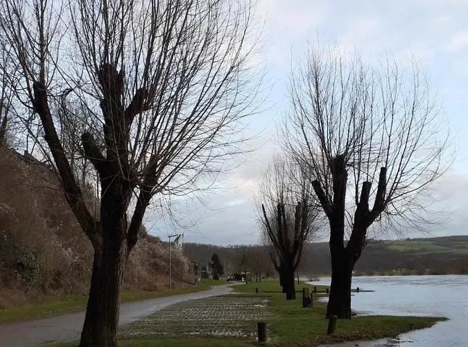 Διαμέρισμα Why Not